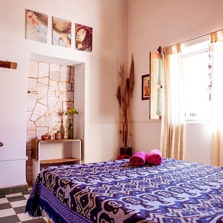 Apapacho Hostel ティルカラ エクステリア 写真