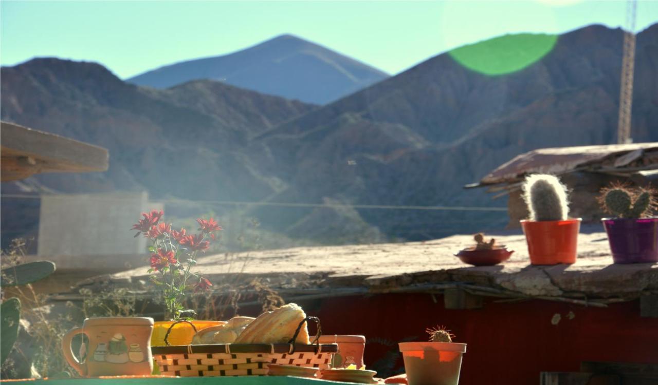 Apapacho Hostel ティルカラ エクステリア 写真