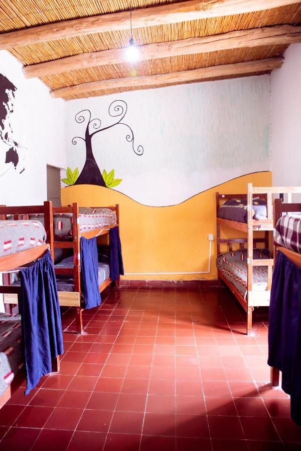 Apapacho Hostel ティルカラ エクステリア 写真